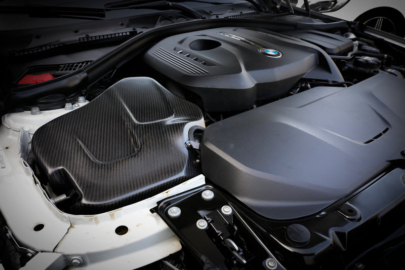 Carbon Fiber Intake for BMW F20 F22 F30 F32 120i 125i 230i 320i 330i 430i (B48)